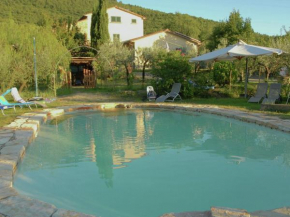 Harmonious Villa in Cortona with Swimming Pool